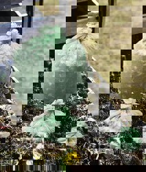 BAG;COMPOSTABLE;ASTM 6400