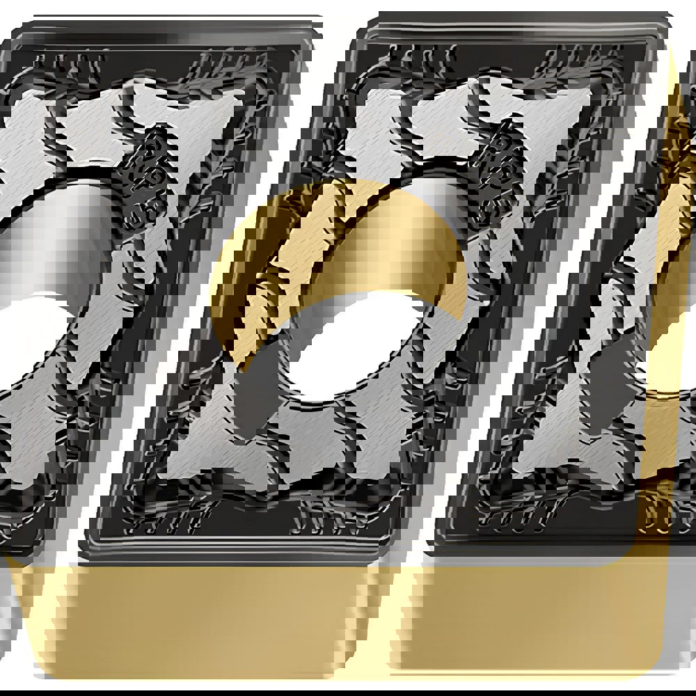 Turning Insert: SNMG643-RP5 WPP10G, Solid Carbide