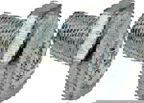 Hex Head Cap Screw: M3 x 0.50 x 6 mm, Grade 8.8 Steel, Zinc-Plated