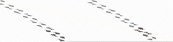 Carbon Steel Wheel Brushes