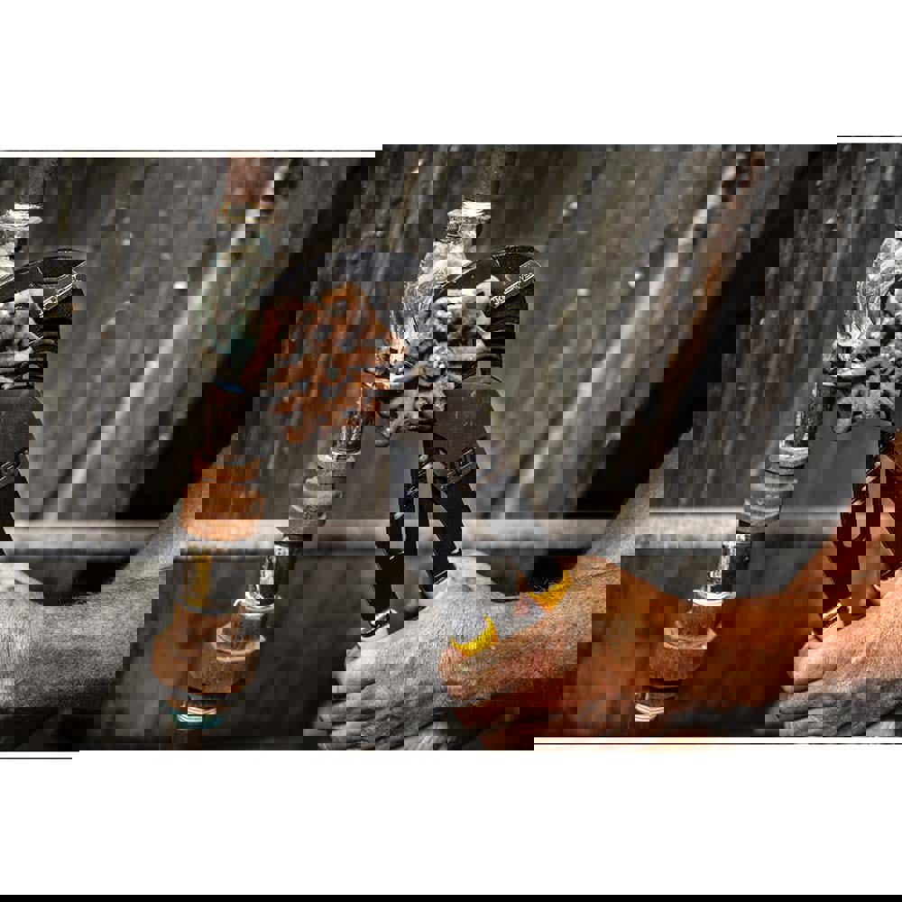 Tongue & Groove Plier: 2.1