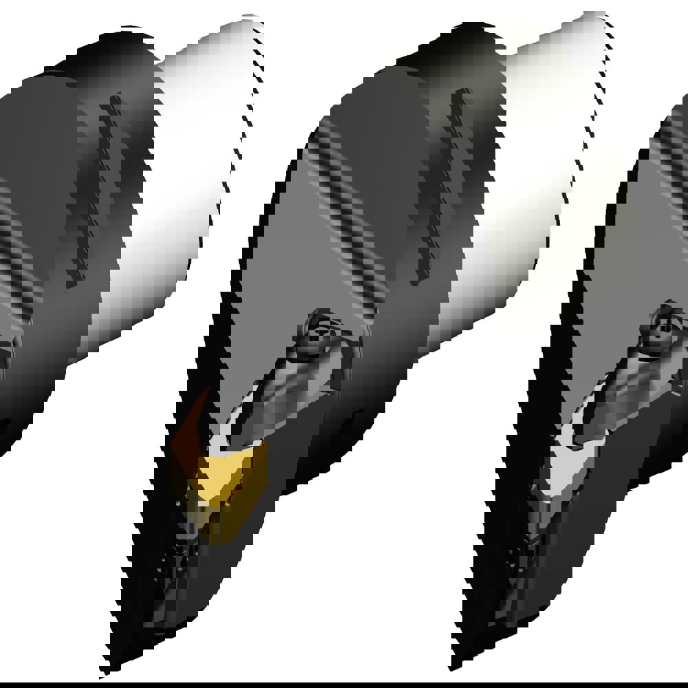 Indexable Turning Toolholder: C6-CP-25BR-45065-12B, Clamp