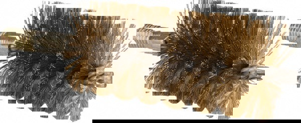 Power Tube Brush: Helical, Brass