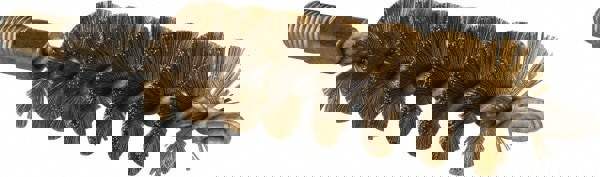 Power Tube Brush: Helical, Brass