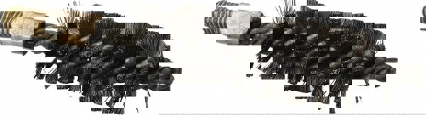 Power Tube Brush: Helical, Steel