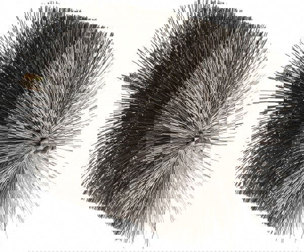Power Tube Brush: Helical, Steel