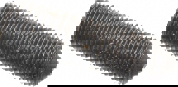 Set Screw: M6x1, 20.00 mm Overall Length, Cone Point, Alloy Steel, Grade 14.9 (45H)