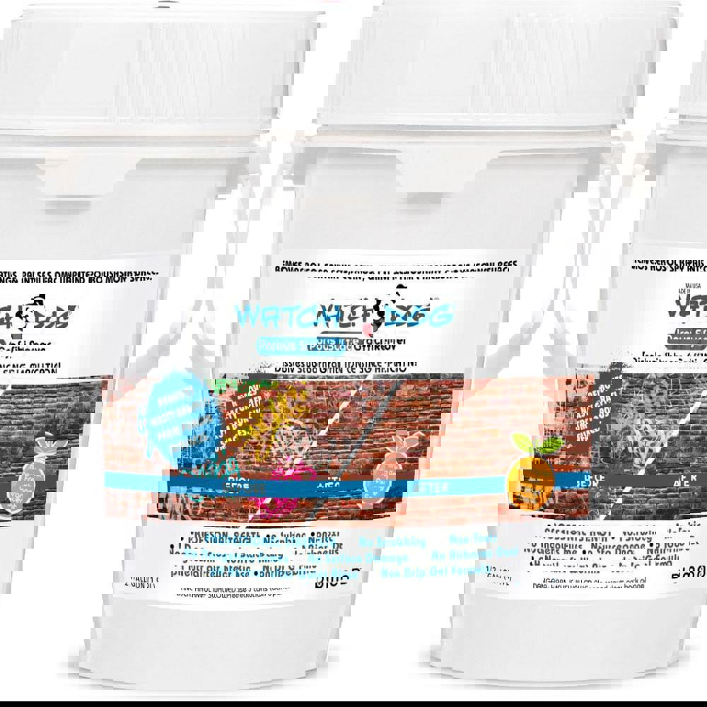 Graffiti/Vandal Mark Remover: Gel, 0.5 gal Bucket