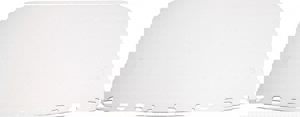 Face Shield Windows & Screens: Face Shield, Clear, 8