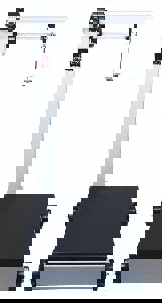 500 kg Platform Scale