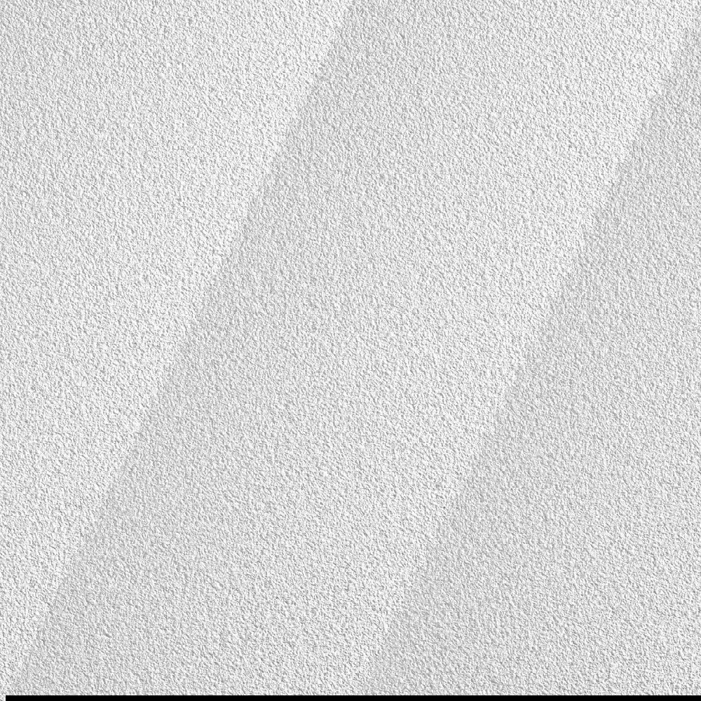 CLEAN ROOM VL 24 in x 24 in Ceiling Tile, White