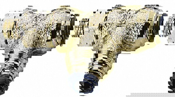 Push-to-Connect Tube x Male x Tube x Male UNF Fitting: Swivel Run Tee, #10-32 Thread, UNF, 1/8