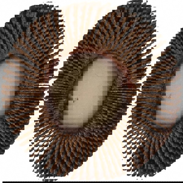 Mounted Flap Wheel: 1-3/16