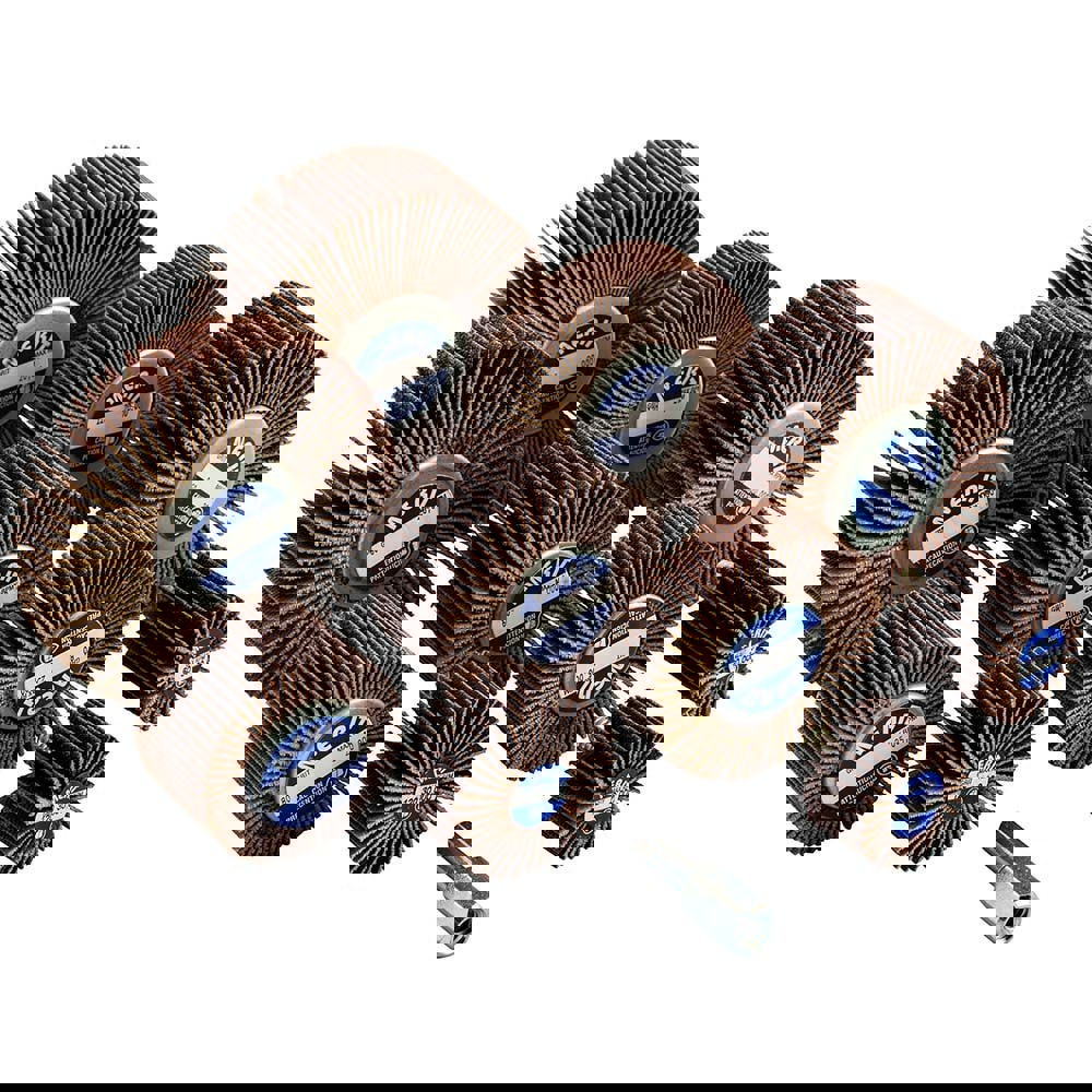 10 Piece Flap Wheel Kit