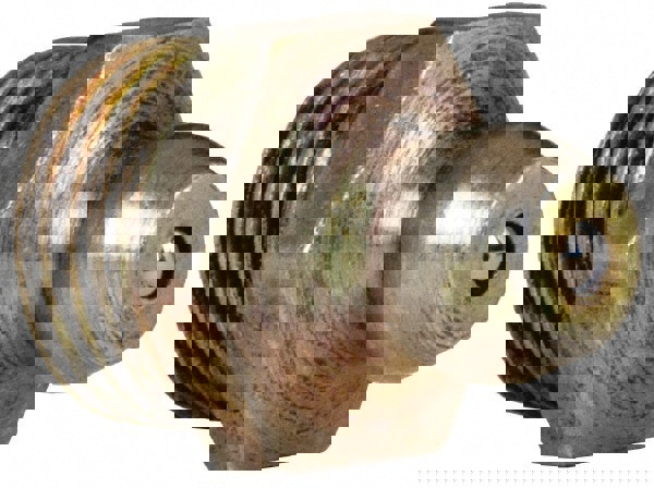 Standard Grease Fitting: 1/8