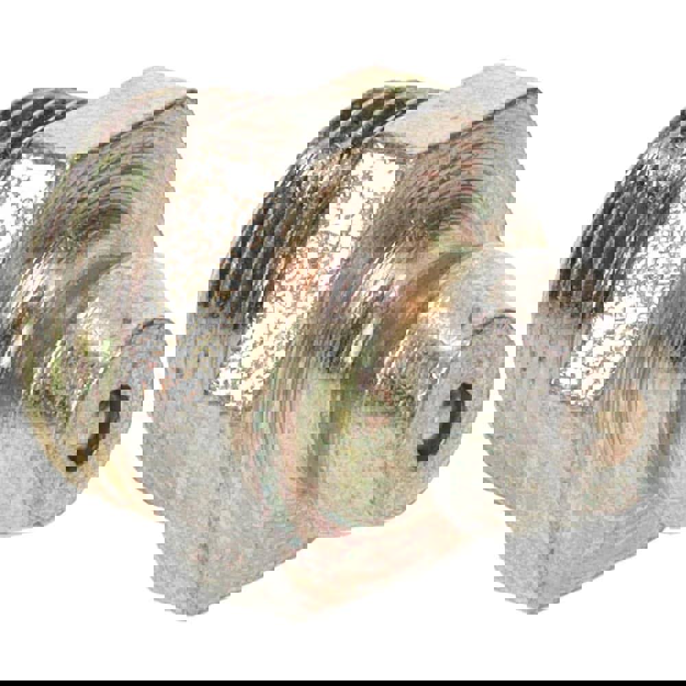 Thread-Forming Grease Fitting: 1/8