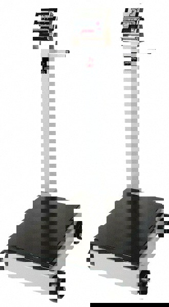 Detecto 1,000 Lb Platform Scale