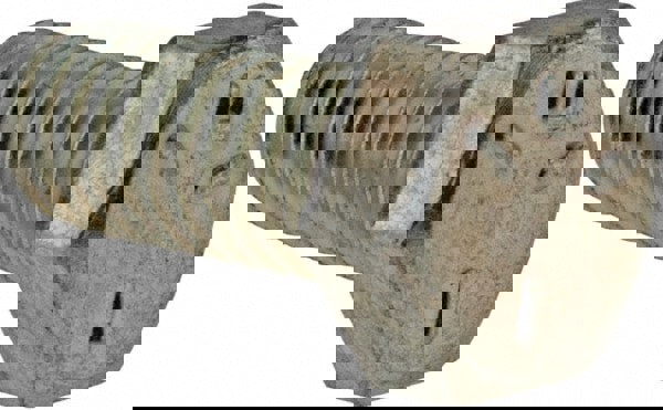 Hex Head Cap Screw: 5/16-18 x 3/4