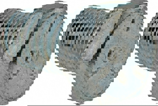 Hex Head Cap Screw: 7/16-14 x 3/4