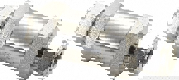 Instrument Check Valve Ss