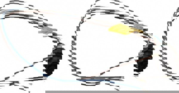 4 Amp, M12 Female Straight Receptacle