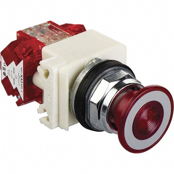 Push-Button Switch: 30 mm Mounting Hole Dia, Maintained (MA)