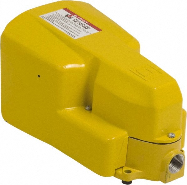 2 Treadles, 5 Amp, Momentary (MO), SPDT, Electric Foot Switch