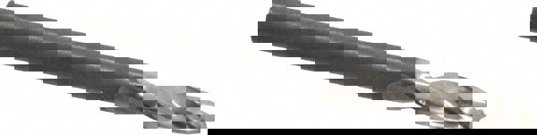 Screw Machine Length Drill Bit: 0.2047