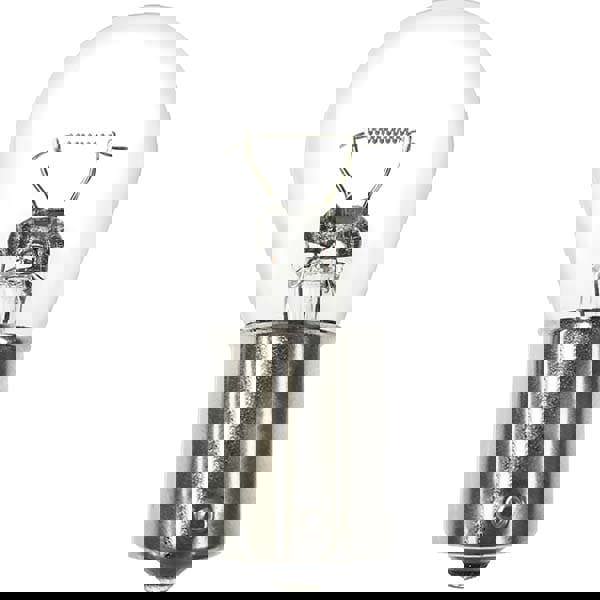 12.8 Volt, Halogen Miniature & Specialty T4 Lamp