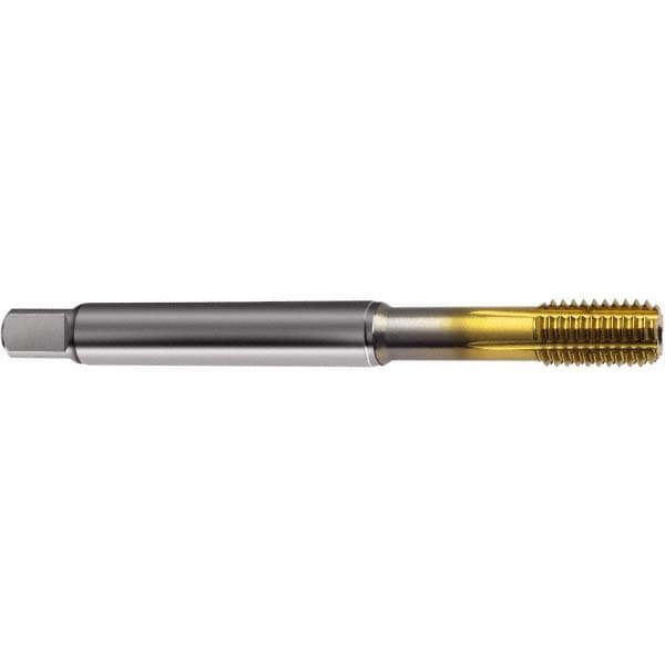 Thread Forming Tap: M10x1.25 Metric Fine, 6HX Class of Fit, Bottoming, Powdered Metal High Speed Steel, TiN Coated