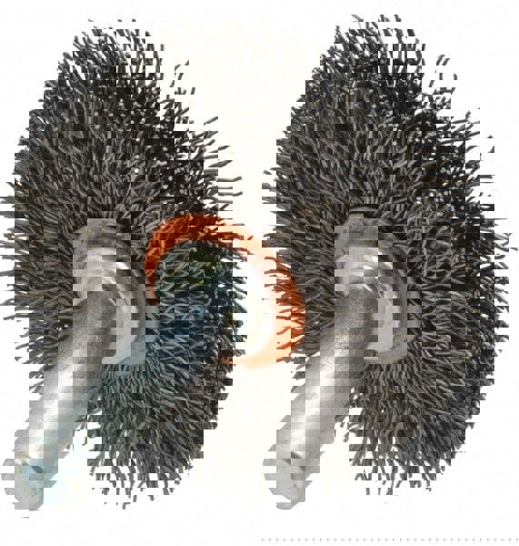Wheel Brush: 1-1/2