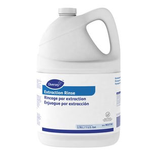 1G CARPET EXTR RINSE