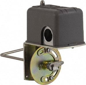 1 NEMA Rated, DPST, Float Switch Pressure and Level Switch