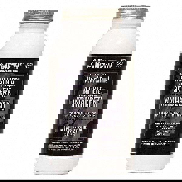 Anti-Seize Anti-Seize Lubricant: 16 oz Brush Top