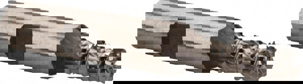 Roughing End Mill: 1/4