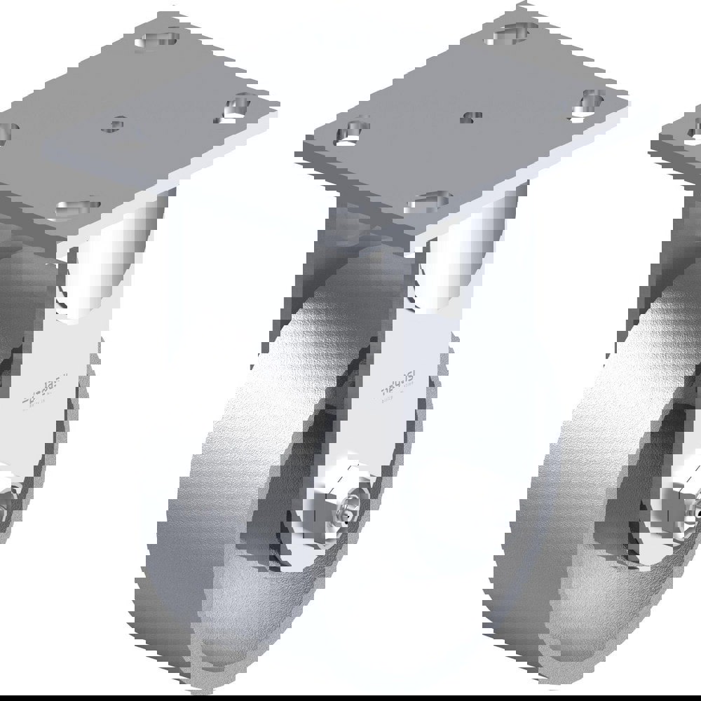 Top Plate Casters; Type: Rigid ; Mount Type: Plate ; Number of Wheels: 1.000 ; Wheel Diameter (Inch): 5 ; Wheel Material: Cast Iron ; Wheel Width (Inch): 2