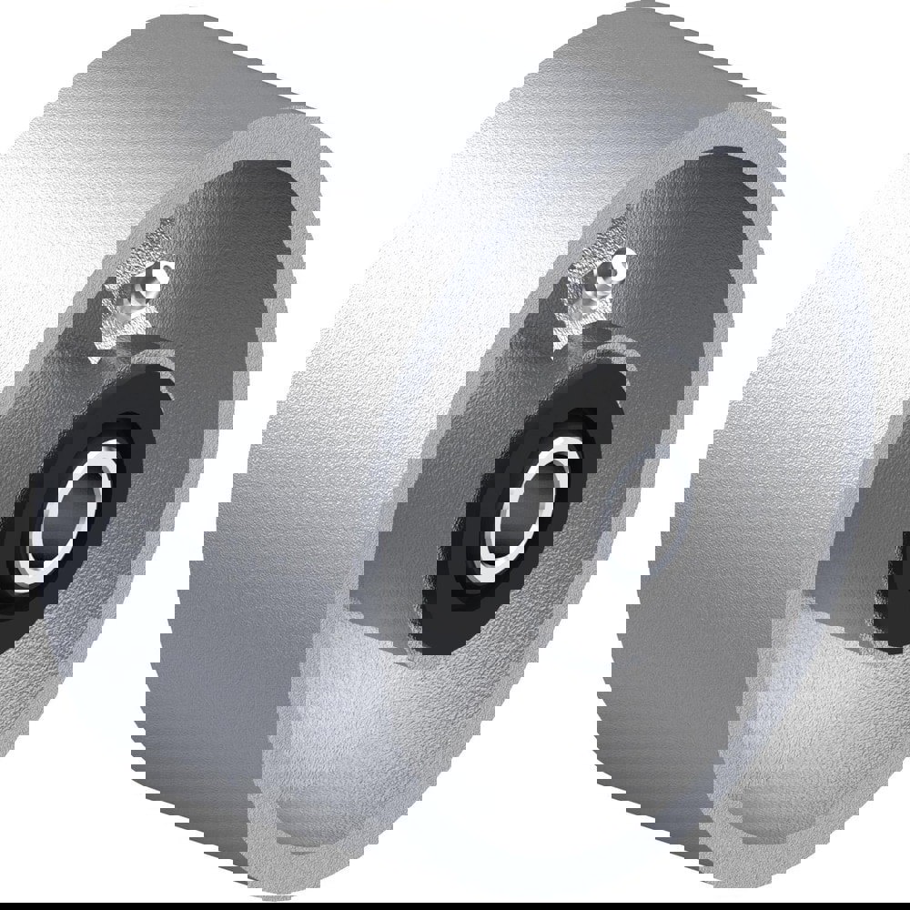 Caster Wheels; Wheel Type: Rigid; Swivel ; Wheel Diameter (Inch): 4 ; Bearing Type: Roller ; Wheel Width (Inch): 2 ; Hardness Rating: Standard ; Wheel Core Style: Solid
