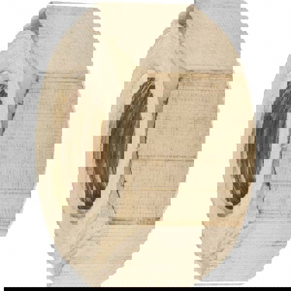 1/2-13 UNC Brass Right Hand Heavy Hex Nut