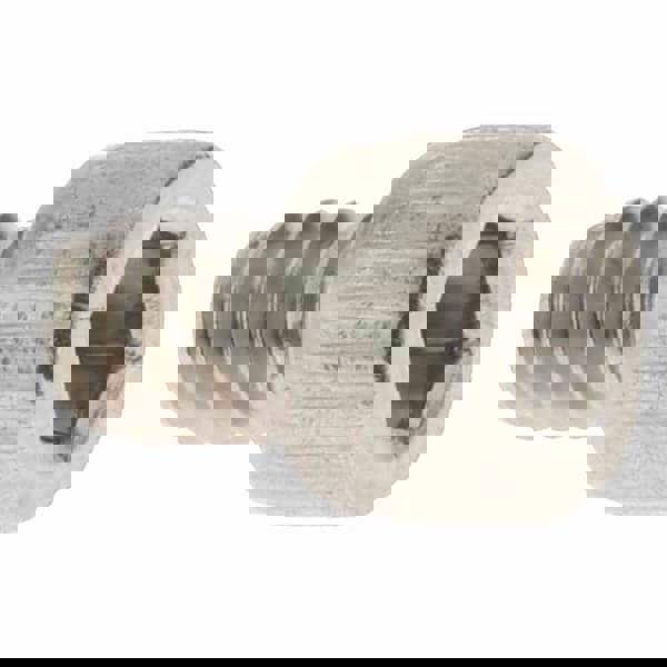 Hex Socket Cap Screw: #6-32, 3/16