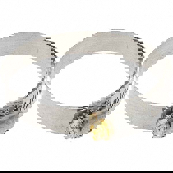 Worm Gear Clamp: SAE 44, 2-5/16 to 3-1/4