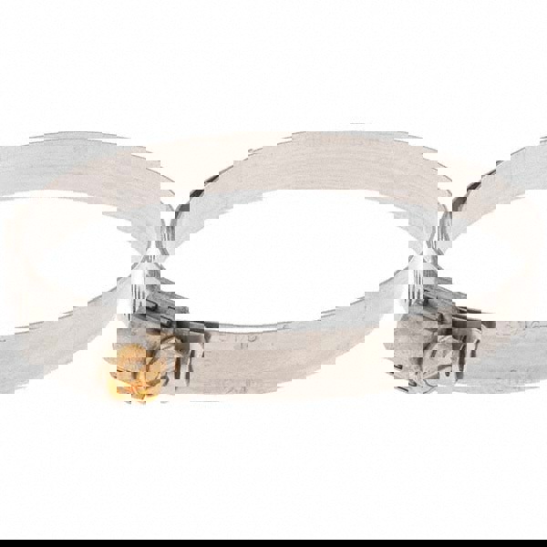 Worm Gear Clamp: SAE 56, 3-1/16 to 4