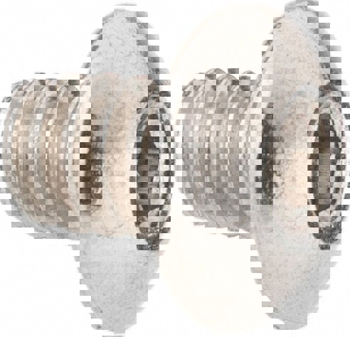 Button Socket Cap Screw: #6-32, 3/16