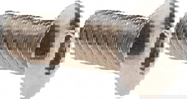 Button Socket Cap Screw: 3/8-16 x 1-1/4, Stainless Steel