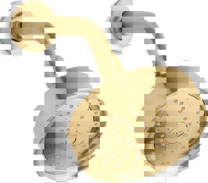 Single Function Showerhead in Vibrant Brushed Moderne Brass