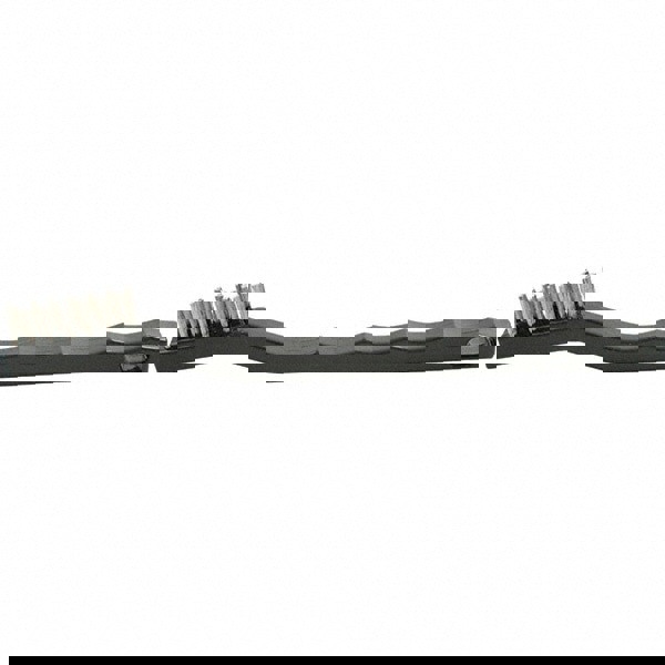 Scratch Brush, 2 Rows, 7 Columns, Brass & Stainless Steel