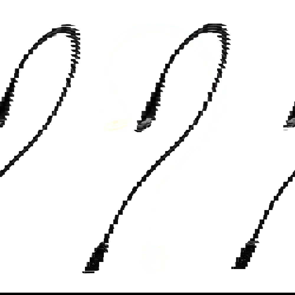 Machine Lights; Machine Light Style: Gooseneck ; Lamp Technology: LED ; Voltage: 12V ; Wattage: 7W ; Overall Length (Decimal Inch): 30 ; Color: Black