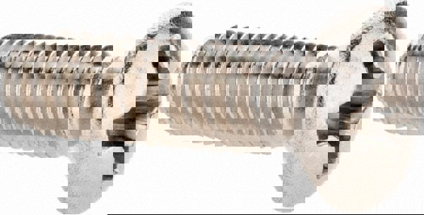 Machine Screw: #6-32 x 1/2