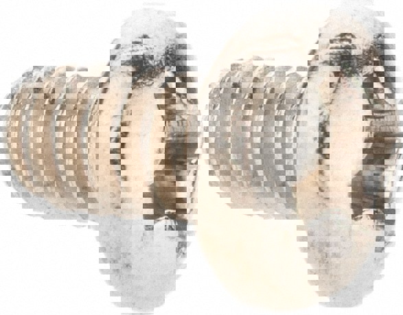 Machine Screw: #6-32 x 1/4