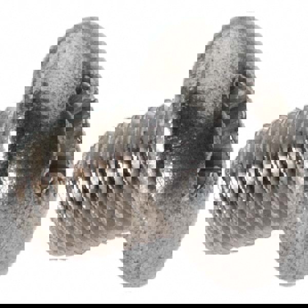 Machine Screw: #10-32 x 1/4