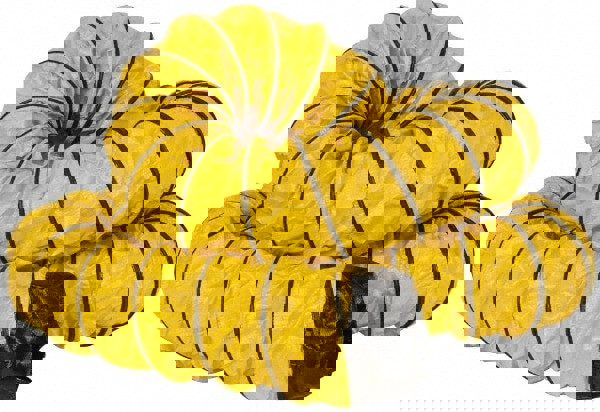 25 Ft. Long Duct Hose